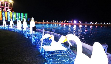 日本最大水上樂園福井縣「芝政世界」的期間限定夏夜浪漫點燈活動