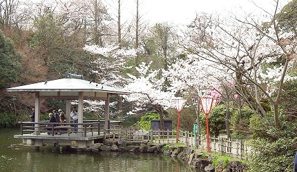 北陸自由行北陸賞櫻夜櫻櫻花祭櫻花季石川縣富山縣福井縣新潟縣金澤石川門金澤城兼六園能登鹿島站足羽川櫻並木高岡古城公園高田公園