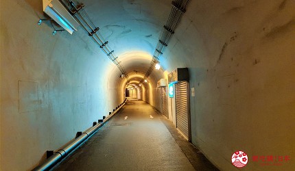 越後妻有大地藝術祭清津峽溪谷隧道TunnelofLight