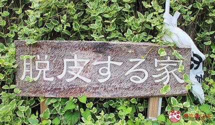 越後妻有大地藝術祭作品鞍掛純一脫皮之家