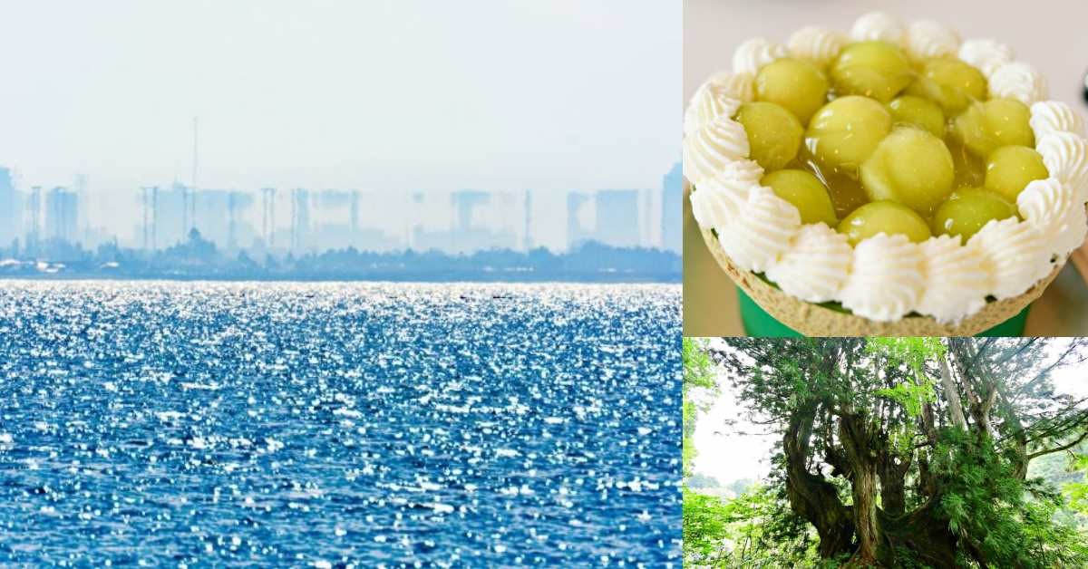 日本深度旅遊新熱點「魚津」！超夢幻海市蜃樓、洞杉森林、蜜瓜碗，走進絕景美食世界